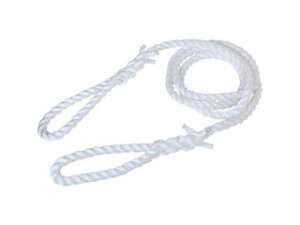 TRUSCO gXRR PP[vXO 24mmX5m PP-2450