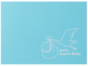 HAKUBA ハクバ MSRC-LY2BBL(ベイビー ブルー) 写真台紙 シーンランス Lサイズ 2面 (ヨコ)