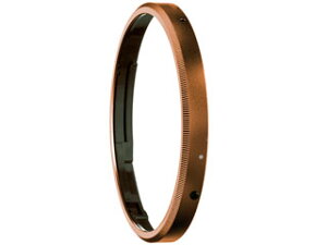 RICOH R[ GN-2(BZ) uY@OLbv