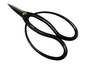 ᎂq ~ S| 180mm No.725013