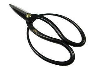 ᎂq nvS| 200mm No.725018