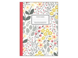 {m[g ԕm[g AC{[ CF158IV