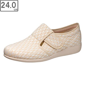 ASAHI/ATqV[Y `L157 BG 24.0cm (x[W) KS23781