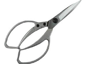 DAISHIN i EG A~_CLXgADX 502105