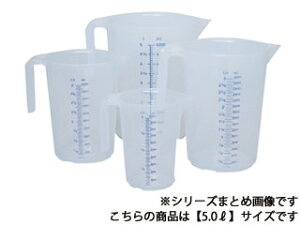 ViC_[ SCHNEIDER. PP}X I[vnh^Cv 5.0L 206015