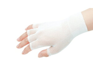 No.650Ci[tBbgiw؂^Cvj10o