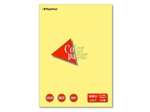 Nagatoya/剮X J[y[p[A3 50P N[ i-1403 A3 