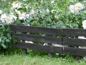 Z܂X^C VRؐXeBbNtFX {[_[ JSBF-8045DBR _[NuE s J[h EkCE͂тɎԎws