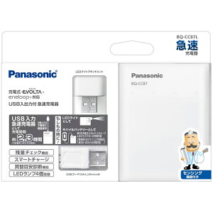 Panasonic pi\jbN BQ-CC87L@USBo͕t}[d