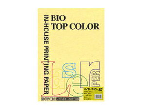 mondi/fB mondi/fB oCIgbvJ[PPC A3 CG[ BT203 100