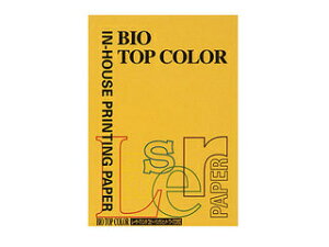 mondi/fB mondi/fB oCIgbvJ[PPC A4 I[hS[h BT123 100