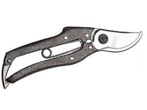 NISHIGAKI/jVKLH  v200 180