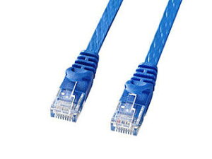 �T�����T�v���C �J�e�S��6�t���b�gLAN�P�[�u�� 10m �u���[ LA-FL6-10BL