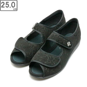 ASAHI ATqV[Y KS23482 ` L133SL fB[XV[Y T_ y25.0cmE3Ez (ubN)