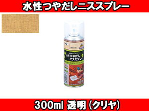 ASAHIPEN ATqy ojXXv[ (N) y300mlz