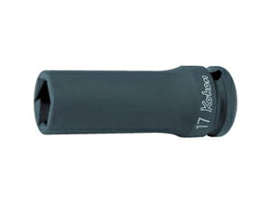 Ko-ken �R���H�ƌ����� �p�X�t�@�C���_�[�f�B�[�v�\�P�b�g 14365M-21