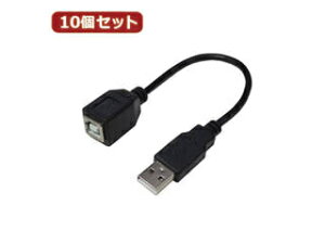 �ϊ����l �ϊ����l �y10�Z�b�g�z USB�P�[�u��20 A(�I�X) to B(���X) USBAA/BB20X10