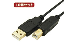 ϊl ϊl y10Zbgz ɍUSBP[uAIX-BIX 1m USB2A-B/CA100X10