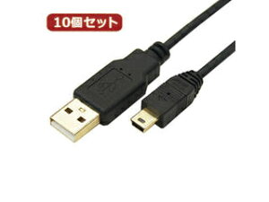�ϊ����l �ϊ����l �y10�Z�b�g�z �ɍ�USB�P�[�u��A�I�X-mini�I�X 3m USB2A-M5/CA300X10
