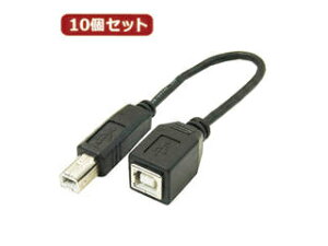 �ϊ����l �ϊ����l �y10�Z�b�g�z USB�P�[�u��20cm B(�I�X) to B(���X) USBBA-BB20X10