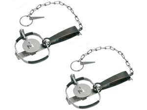 Sakae/hH ߊl gbv C type No.101 (2) ΏۓlY~ NZ-1