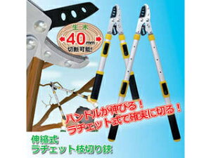 㓡 㓡 Lk`Fbg}؂ 809642