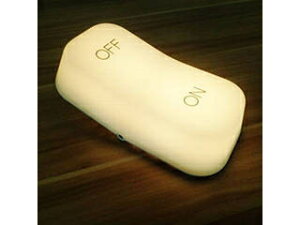 ONEON ONEON ON OFF LAMP �C�G���[ ONOFLAY