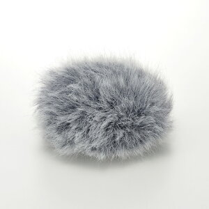 OLYMPUS IpX WJ2 ICR[_[pEChW}[