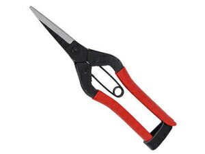 SENKICHI/g K[f TbN SGP 45