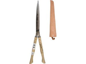 IKARASHI/܏\nH Kanenori/|T  |tlWgt 1ڊ~ aBŌjRu A-71