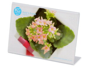 HAKUBA nNo FACL-KGY ANLt[ KG(nKL)TCY 1(R) FACLKGY