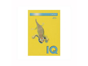 mondi/fB ymondi/fBzoCIgbvJ[PPC A4 TCG[ BT516 500