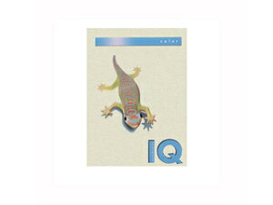 mondi/fB ymondi/fBzoCIgbvJ[PPC A4 O[ BT809 A4 250