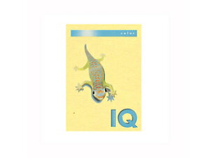 mondi/モンディ 【mondi/モンディ】バイオトップカラーPPC A4 イエロー BT503 500枚入