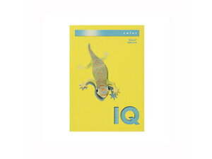 mondi/モンディ 【mondi/モンディ】バイオトップカラーPPC A4 マスタード BT529 500枚入