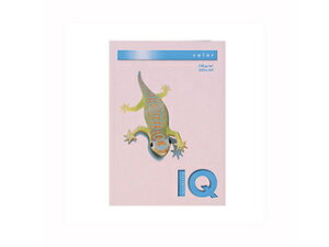 mondi/fB ymondi/fBzoCIgbvJ[PPC A4 t~S BT731 A4 250