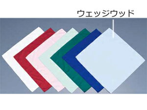 TCcCitL@SP2026^EFbWEbhi10j