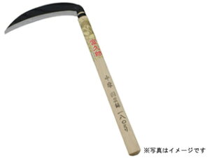 FUKUI  ӂ낤 揬 #121