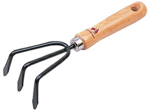 KINBOSHI L{V GS #1372 OcF