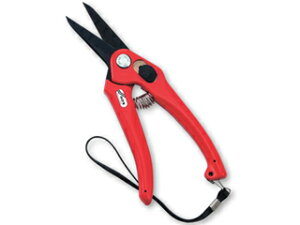 ݖ{_H쏊  tbfH Xg-g 195 P-901