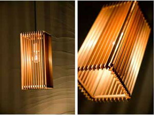 SINYO VmdC AP834 y_gCg /ren y1^Cvz