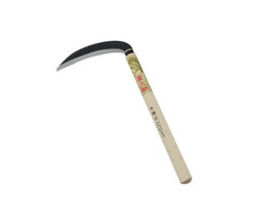 FUKUI  yӂ낤z|  180mm #124