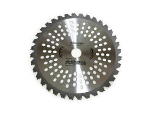 FUKUI ���� �y�n�E�X�r�[�G�����z�`�b�v�\�[ ��n���� �y�ʌ^ 230×36P