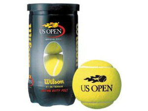 Wilson/EC\ US I[vEGNXgEf[eB dejX{[