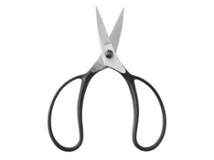 OKATSUNE/P AD^ No.221