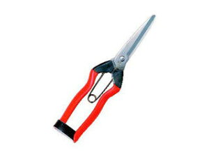 KOBAYASHI ѐ yKoshiji/zHzXeX n 200mm J-3