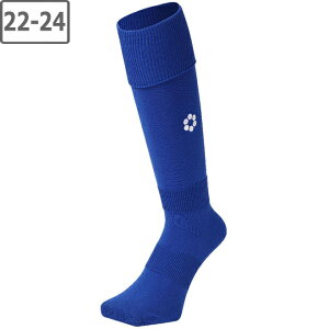 sfida XtB[_ yjZbNXzSXgbLOy22-24cmzyBLUEzSH21S02