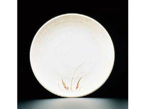 ~uguvƂ񂩂M^VS|7624