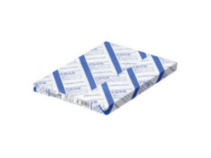 KOKUYO/RN KBp(p) FSCF64g/m2 A4 250 KB-239N
