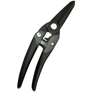 CHIKAMASA ߐ ߐ JP-2000FBK t-Xg 